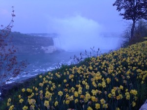 Nigara Falls Bike Ride 045