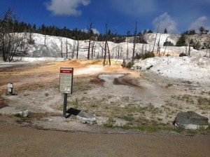 Lodge Pass Montana to Yellowstone 012