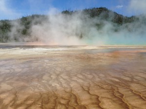 Lodge Pass Montana to Yellowstone 024