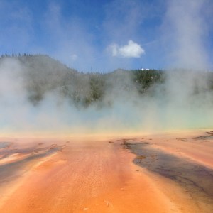 Lodge Pass Montana to Yellowstone 026