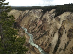 Lodge Pass Montana to Yellowstone 046
