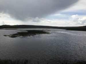 Lodge Pass Montana to Yellowstone 060