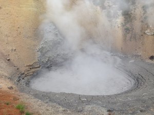 Lodge Pass Montana to Yellowstone 063